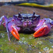Beth Rittenhouse's photo