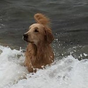 Frank Heffelfinger's photo
