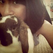 Holly Lin's photo