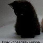 Dmitriy Zakharin's photo