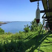 Beth McLeod's photo