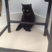 Beverly Norindr's photo