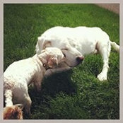Sara Hansen's photo