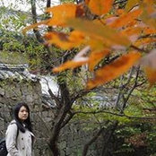 Priscilla Yu's photo