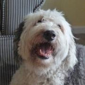 Janet Hoffer's photo