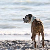 Jennifer Kim's photo
