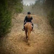 Beatrix Whitt's photo