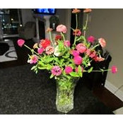 Rose Tonto's photo