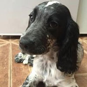 Wizzy Jenkins's photo