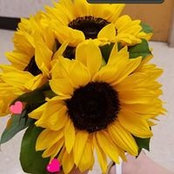 Michele Hauser Wainscott's photo