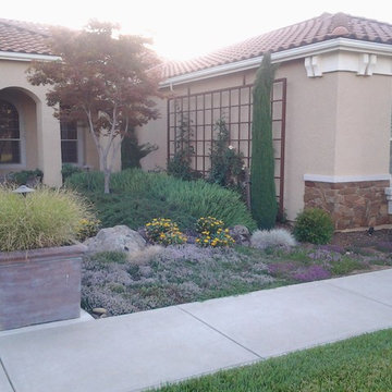 Elk Grove Residence
