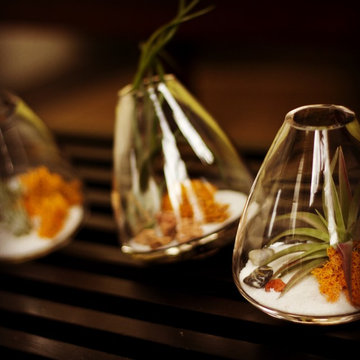 Interior plants