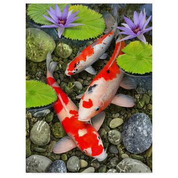 "Koi Under Lily Pads" by Howard Robinson, Canvas Art