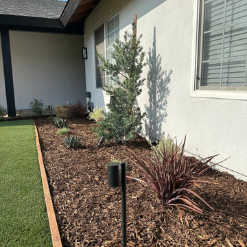Before & After Front Yard Revamp