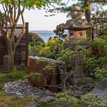 Asian Garden Pruning and Planting