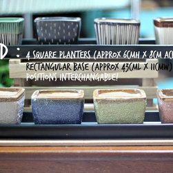Teachers Day Specials - Indoor Pots And Planters