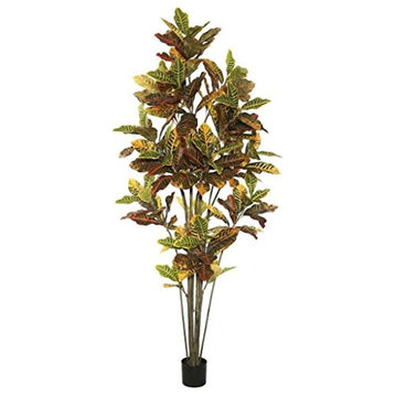 7'Potted Croton Tree W/192 Lvs-Green/Or