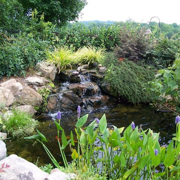 Water Gardens