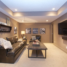 rec room/ bonus room