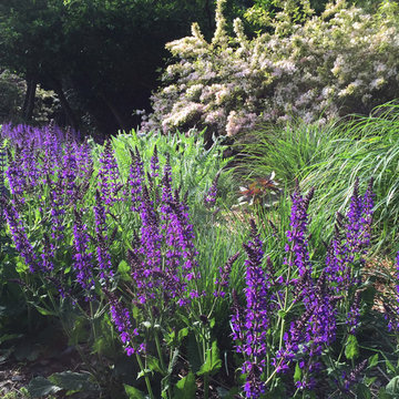 Meadow Planting, Westport CT