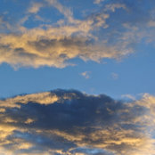 ali mayea's photo