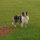 rick_faison