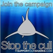 Mark Menzel's photo