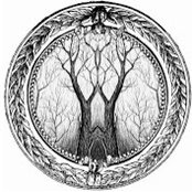 Dimce Angelovski's photo