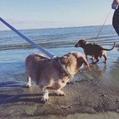 Alivia Holland's photo