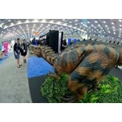 Rebecca Ortenberg's photo