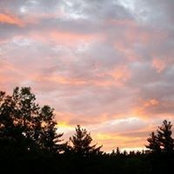 Margaret Daly's photo