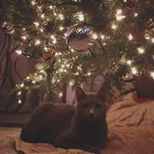Dorothy Castle's photo