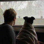 Lainey McFarlane's photo