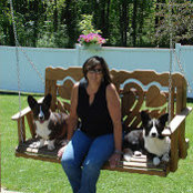 DragonpatchKennels .s billede