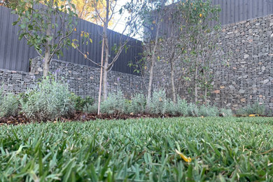 Photo of a modern garden in Sydney.