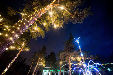 Светодиодный клип-лайт для светового украшения деревьев и новогодних елей