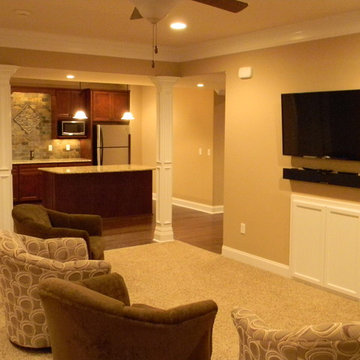 Basement Remodel