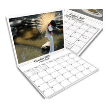 Personalized Custom Business Photo Calendars