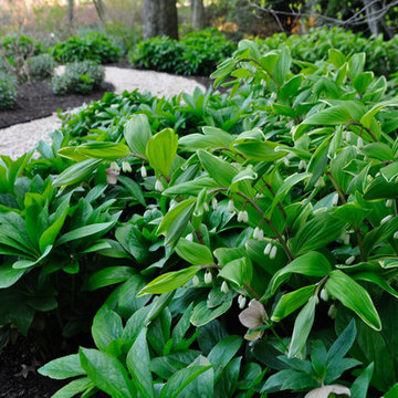 Walled Garden