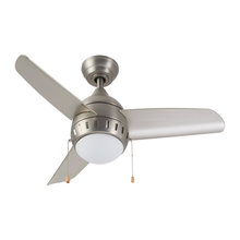 Fans