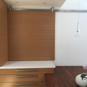 Custom Homes-SD Modern Remodel