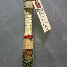 Cute gift n craft ideas