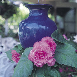 Blue Gloss Down Under Pot - Outdoor Decor