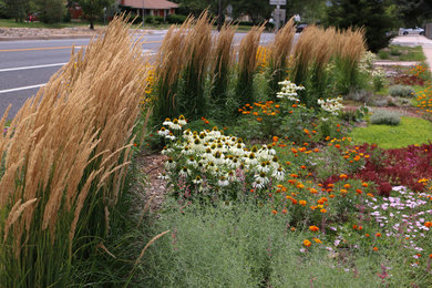 Inspiration for a full sun landscaping in Denver.