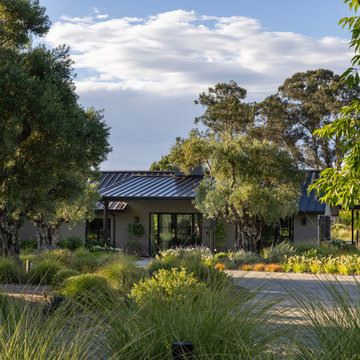 Tranquil Sonoma