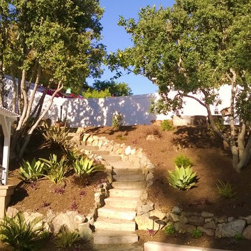 Carlsbad Bocce Ball and Kurapia Lawn