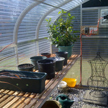 Greenhouses
