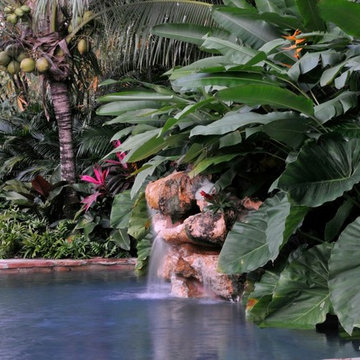Tropical Design