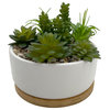 White Ceramic Wood Potted Succulents