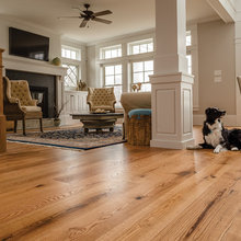 Floors And Wall Paint